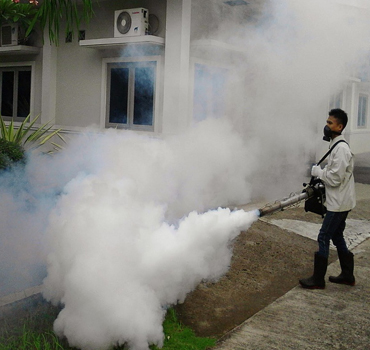 Fogging Services